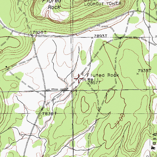 Topographic Map of Fluted Rock Well, AZ