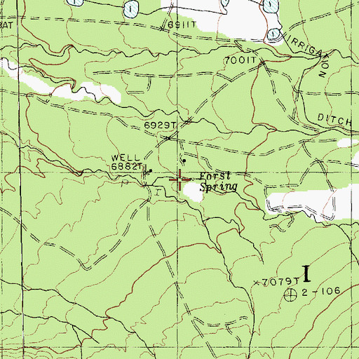 Topographic Map of Forst Spring, AZ