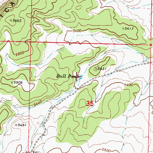 Topographic Map of Bull Pond, AZ