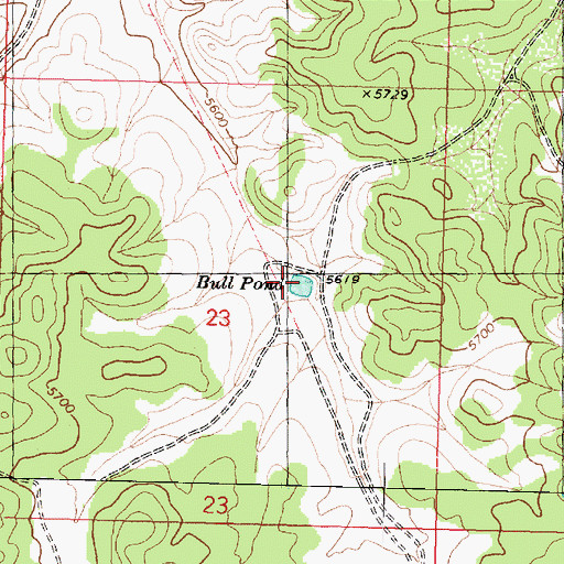 Topographic Map of Bull Pond, AZ