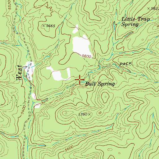 Topographic Map of Bull Spring, AZ