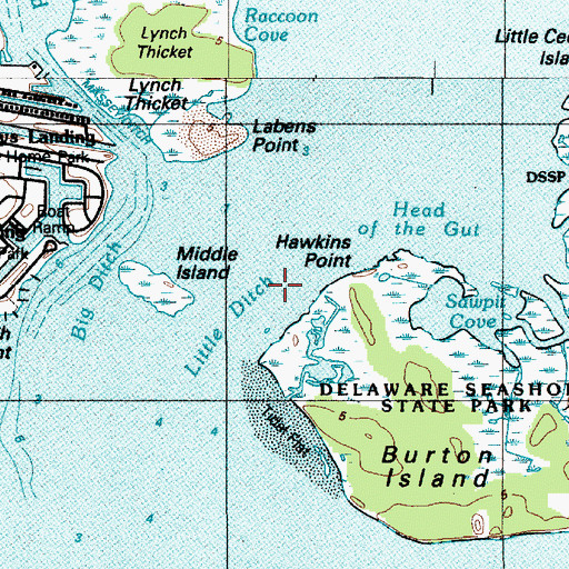 Topographic Map of Little Ditch, DE