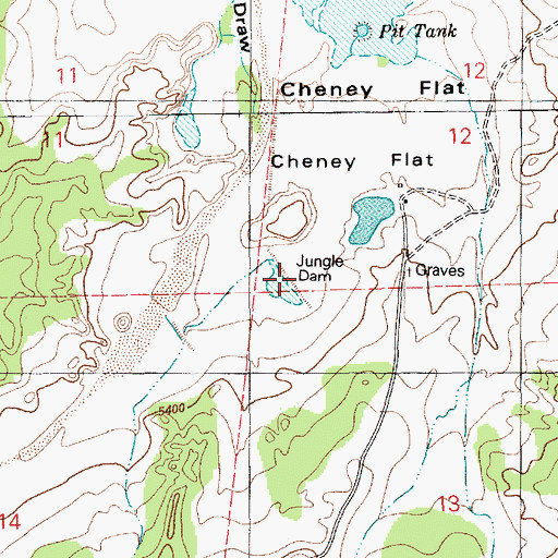 Topographic Map of Jungle Dam, AZ