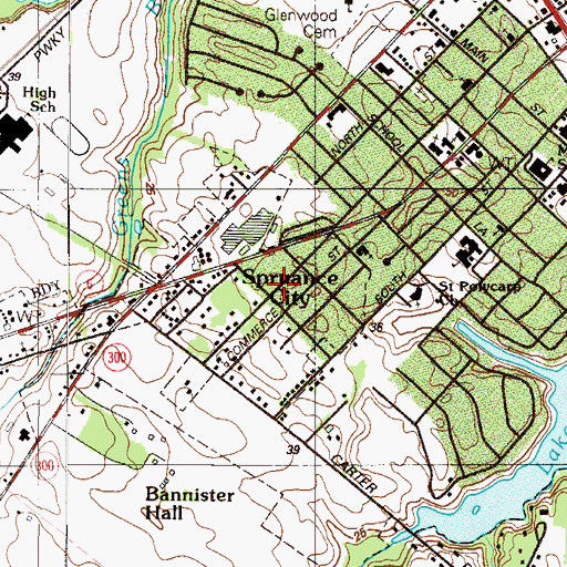 Topographic Map of Spruance City, DE