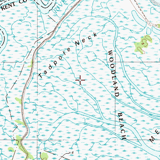 Topographic Map of Tadpole Neck, DE
