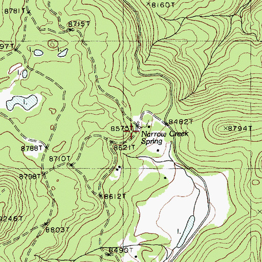 Topographic Map of Narrow Creek Spring, AZ