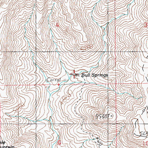 Topographic Map of Bull Springs, AZ