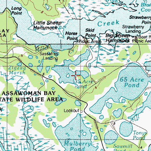 Topographic Map of Thirty-five Acre Pond, DE