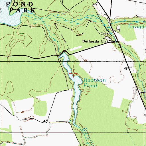 Topographic Map of Raccoon Pond, DE