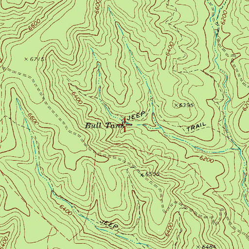 Topographic Map of Bull Tank, AZ