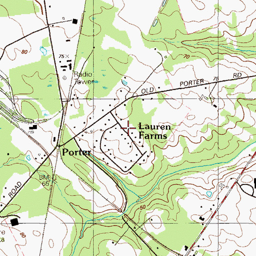 Topographic Map of Lauren Farms, DE