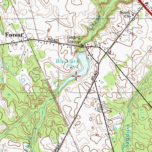Topographic Map of Blackbird Pond, DE