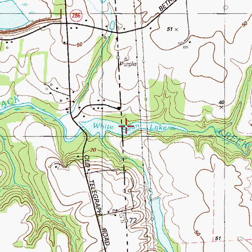 Topographic Map of White Swan Lake, DE