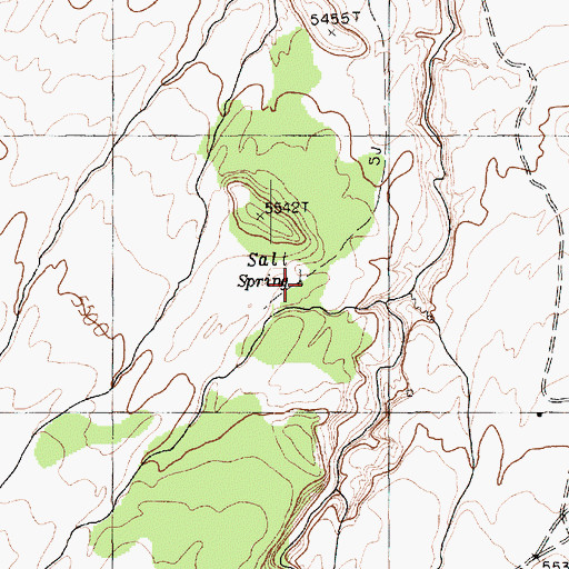 Topographic Map of Salt Spring, AZ
