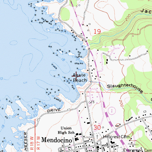 Topographic Map of Agate Beach, CA