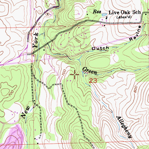 Topographic Map of Allegheny Creek, CA