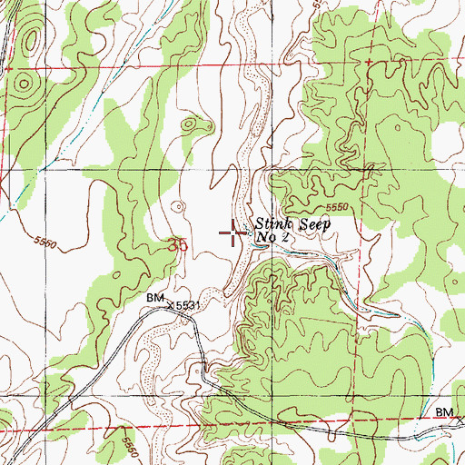 Topographic Map of Stink Seep Number Two, AZ