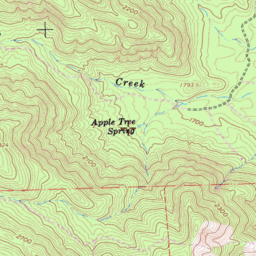Topographic Map of Apple Tree Spring, CA