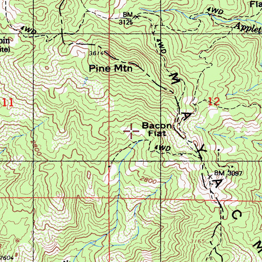 Topographic Map of Bacon Flat, CA