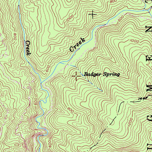 Topographic Map of Badger Spring, CA