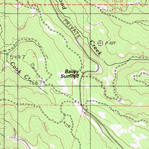Topographic Map of Bailey Summit, CA
