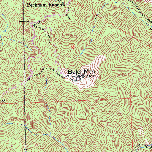 Topographic Map of Bald Mountain, CA