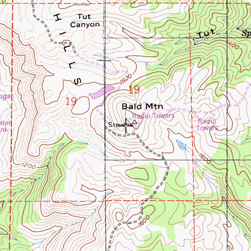 Topographic Map of Bald Mountain, CA