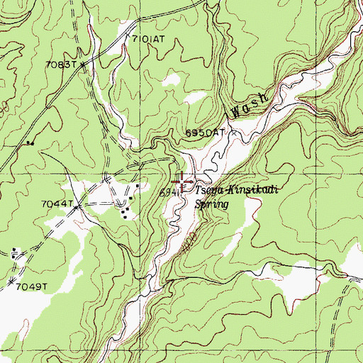 Topographic Map of Tseya-Kinsikadi Spring, AZ