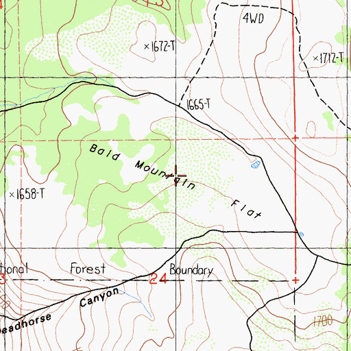 Topographic Map of Bald Mountain Flat, CA