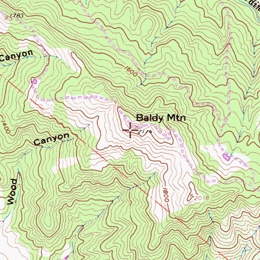 Topographic Map of Baldy Mountain, CA