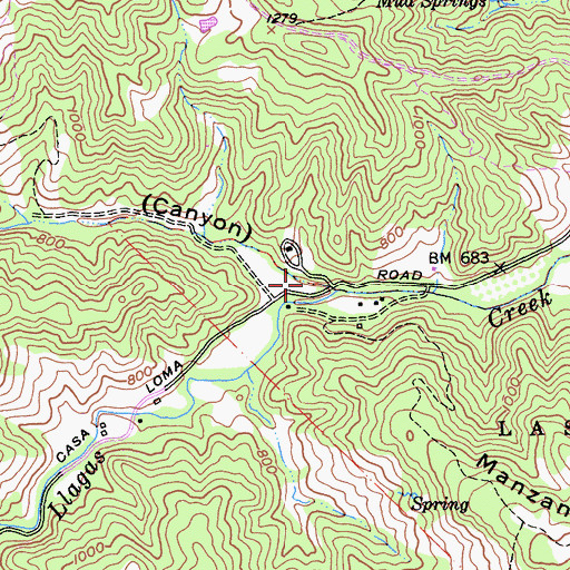 Topographic Map of Baldy Ryan Canyon, CA