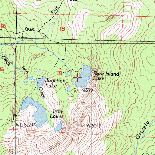 Topographic Map of Bare Island Lake, CA