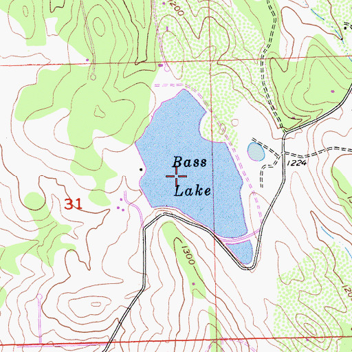 Topographic Map of Bass Lake, CA