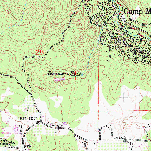 Topographic Map of Baumert Springs, CA