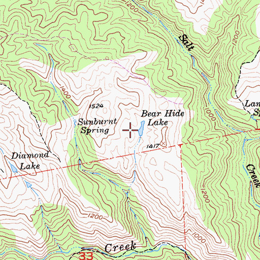 Topographic Map of Bear Hide Lake, CA