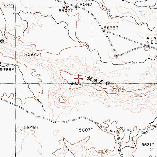 Topographic Map of White Mesa, AZ