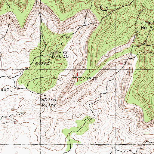 Topographic Map of White Point, AZ