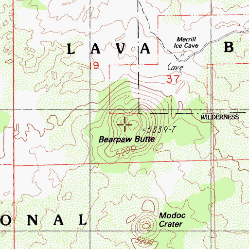 Topographic Map of Bearpaw Butte, CA