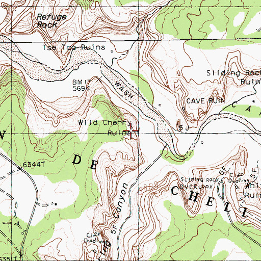 Topographic Map of Wild Cherry Ruins, AZ