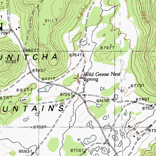 Topographic Map of Wild Geese Nest Spring, AZ