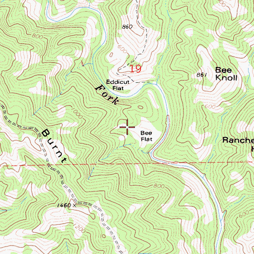 Topographic Map of Bee Flat, CA