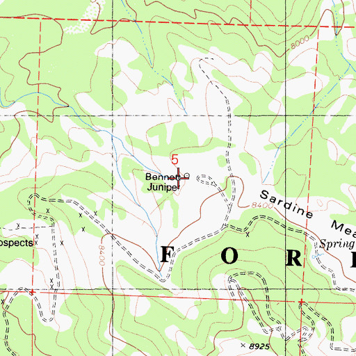 Topographic Map of Bennett Juniper, CA