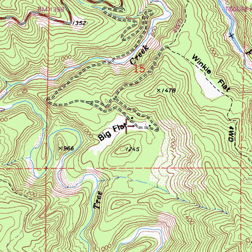 Topographic Map of Big Flat, CA