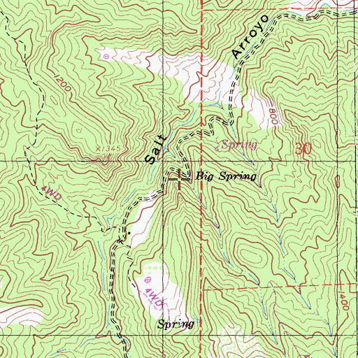 Topographic Map of Big Spring, CA
