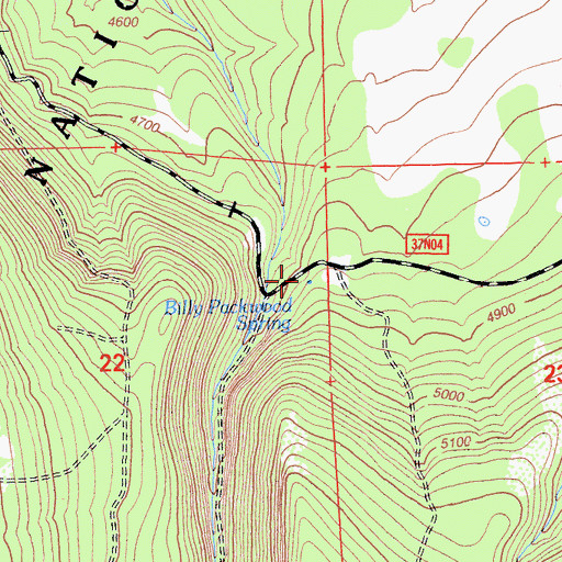Topographic Map of Billy Packwood Spring, CA