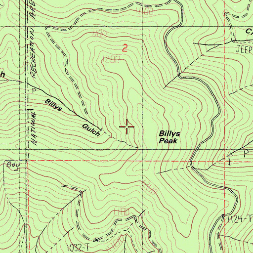 Topographic Map of Billys Peak, CA