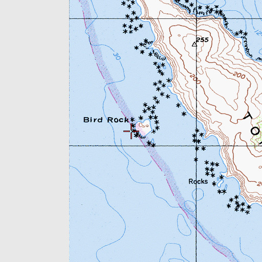 Topographic Map of Bird Rock, CA