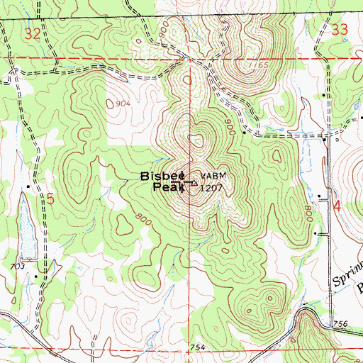 Topographic Map of Bisbee Peak, CA