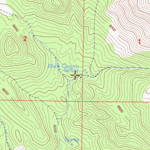 Topographic Map of Black Canyon Spring, CA