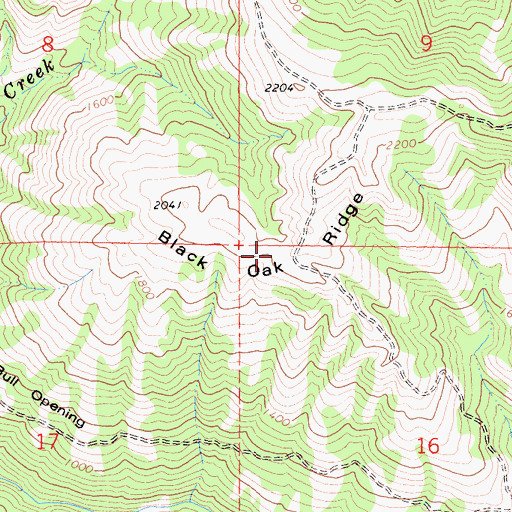 Topographic Map of Black Oak Ridge, CA